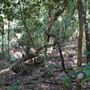 Otford Farm - Jungle Set Build Site