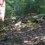 Otford Farm - Jungle Set Build Site