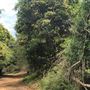 Otford Farm - The Pines Paddock with Jungle Gully