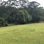Otford Farm - The Pines Paddock with Jungle Gully