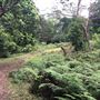Otford Farm - The Pines Paddock with Jungle Gully