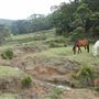 Otford Farm - 40 Acres Paddock