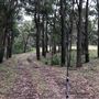 Otford Farm - 40 Acres Paddock