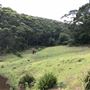Otford Farm - 40 Acres Paddock