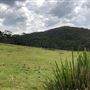 Otford Farm - 40 Acres Paddock