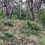 Otford Farm - 40 Acres Paddock