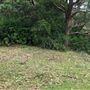 Otford Farm - 40 Acres Paddock