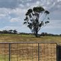 Otford Farm - Crazy T Farm