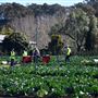 Greater Sydney Local Land Services Demonstration Farm
