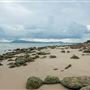 Trial Bay Gaol Campground & Front Beach - Arakoon National Park