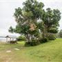Trial Bay Gaol Campground & Front Beach - Arakoon National Park