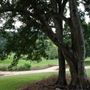 Hidden Creek