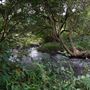 Hidden Creek