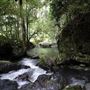 Hidden Creek