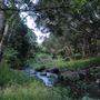 Hidden Creek