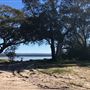 Swan Lake - Swanhaven