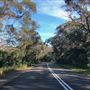 Swan Lake - Swanhaven