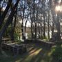 Berrara Creek - Conjola National Park