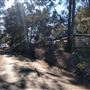 Berrara Creek - Conjola National Park