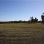 Bungarribee Park  - Western Sydney Parklands