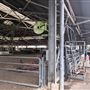 Sydney Showground - Horse Marshaling Arena