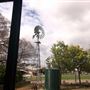 Sydney Showground - Pavilions