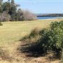 Cook at Kurnell
