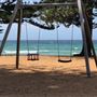 Whale Beach
