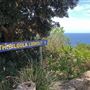 Bilgola Beach