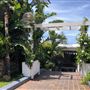 Whale Beach Cafés