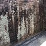 Newington Armory