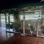 Tobruk Sheep Station - Shearing Shed & Event Venue
