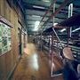 Tobruk Sheep Station - Shearing Shed & Event Venue