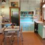 Fig Tree Retro Studio