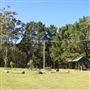 Darkes Forest Ranch