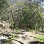 Darkes Forest Ranch