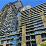 Ultimo - UTS & Central Park