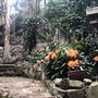 Private House - Hidden Retreat
