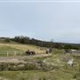 Darkes Forest Ranch