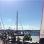 Rushcutters Bay Park