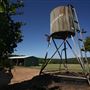 Halt Hill Macadamia Farm