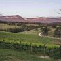 Dryridge Estate