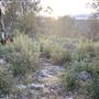 Bungonia National Park