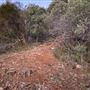 Bungonia National Park