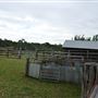 Belgenny Farm