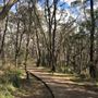 Wentworth Falls Lake