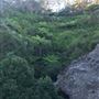 Elysian and Olympian Rock Lookouts