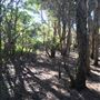 Glenbrook Lagoon