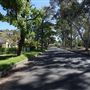 St Ives - Torokina Avenue streetscape