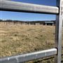 Clearview Cattle Property